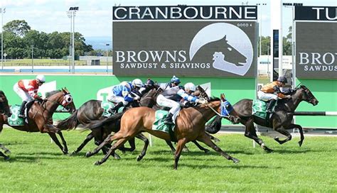 betseeker|Free Expert Sports Betting & Horse Racing Tips .